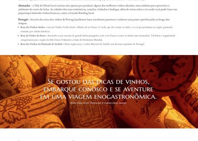 Website para a Céltica Viagens - detalhe da página de Rota dos Vinhos